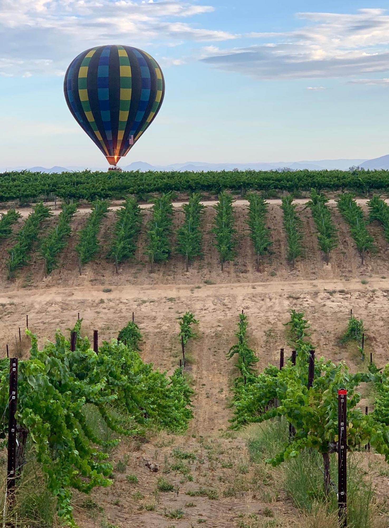 Domaine Chardonnay Acomodação com café da manhã Temecula Exterior foto