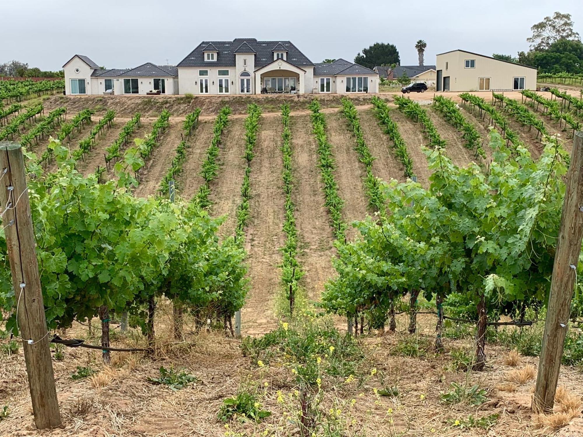 Domaine Chardonnay Acomodação com café da manhã Temecula Exterior foto